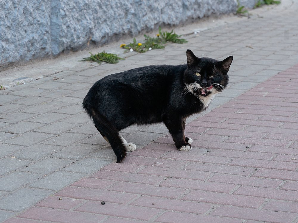Photograph by Игорь Мозель