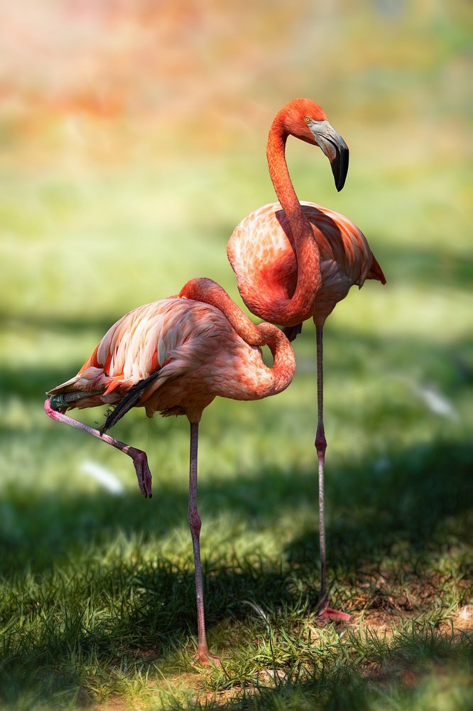 Photograph by Лея Лерер