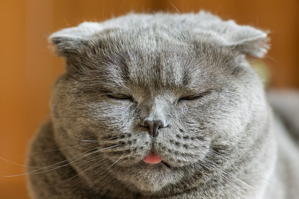 Photograph by Александр Земляной