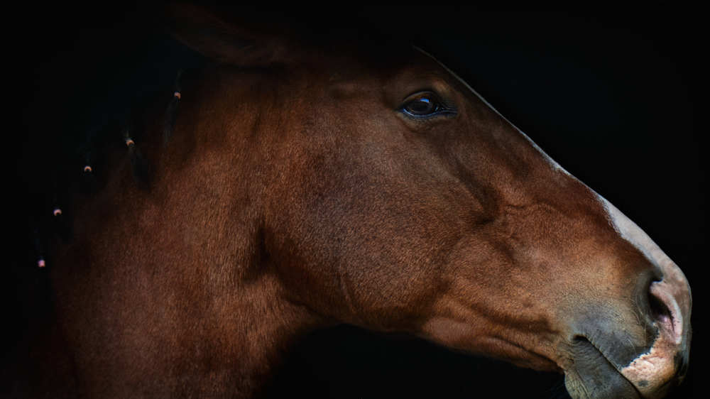 Photograph by Natalia Ghimp