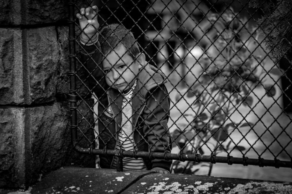 Photograph by Szilveszter Zoltan