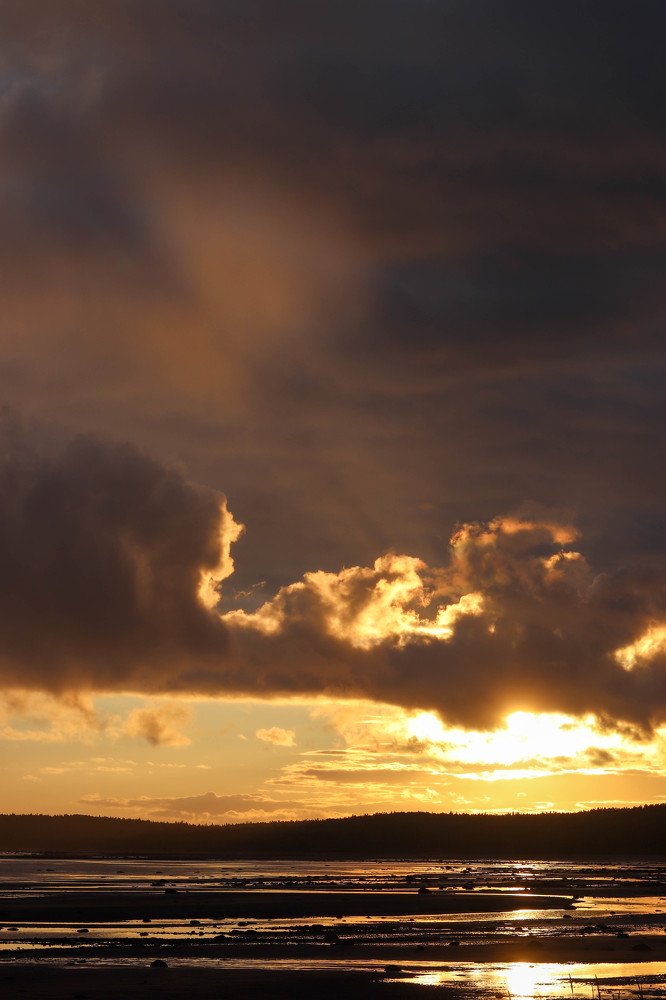 Photograph by Ксения Дубинина