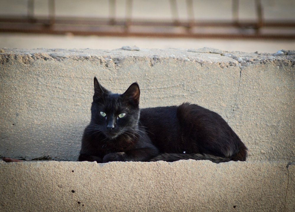 Photograph by Hammouda Zied