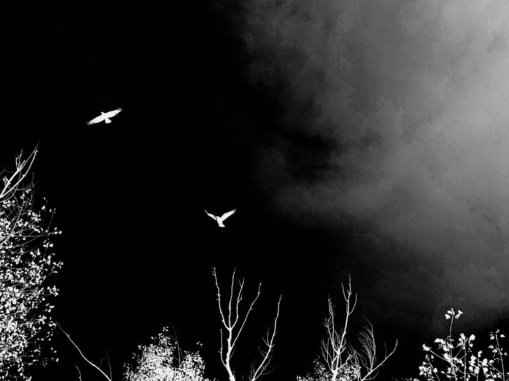 Photograph by Karina Yakovleva