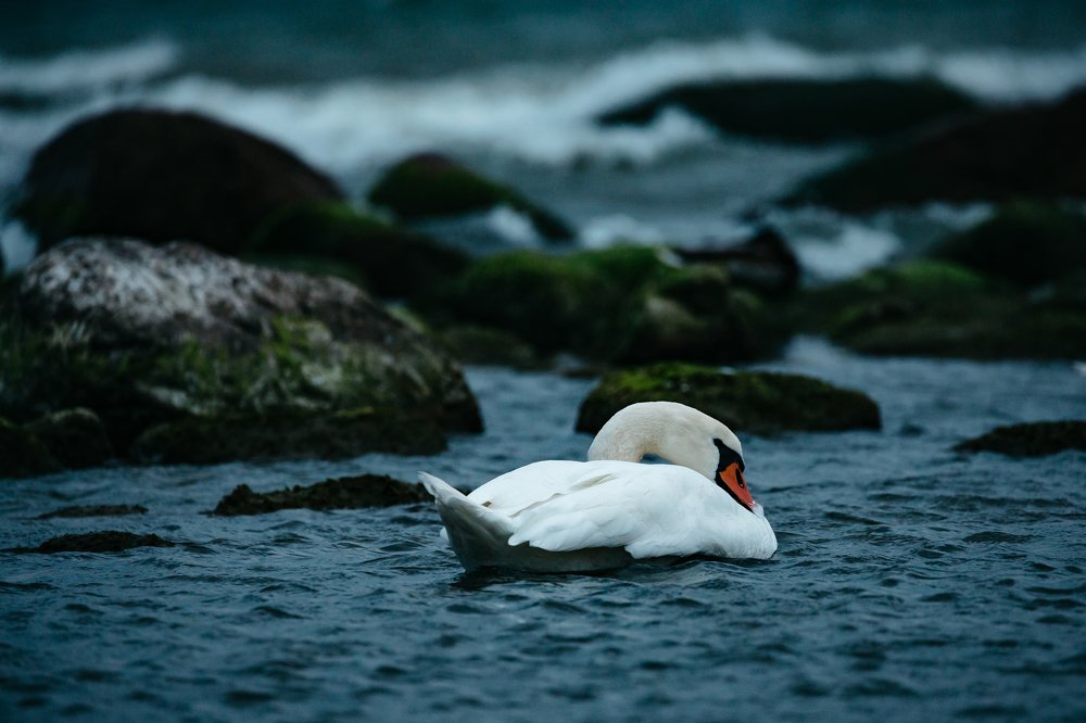 Фотография автора Евгения Кирпиченкова (Клипп)