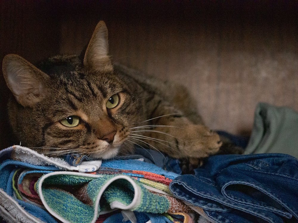 Photograph by Елена Степина