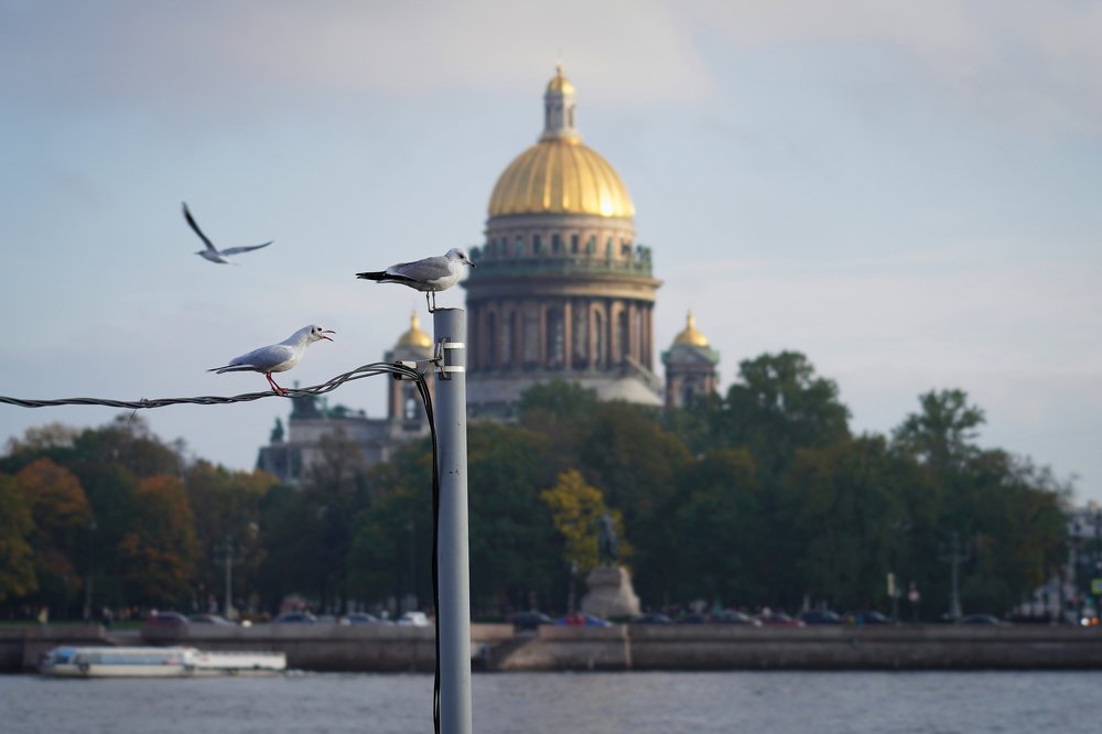 Photograph by Евгений Гаркуша