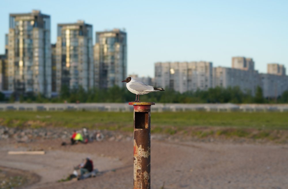 Photograph by Евгений Гаркуша