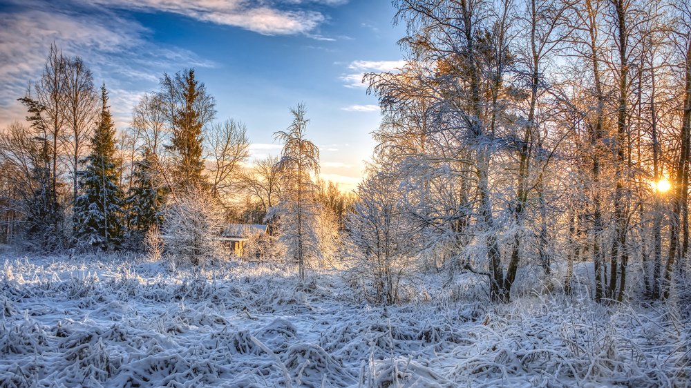 Photograph by Сергей Малеев