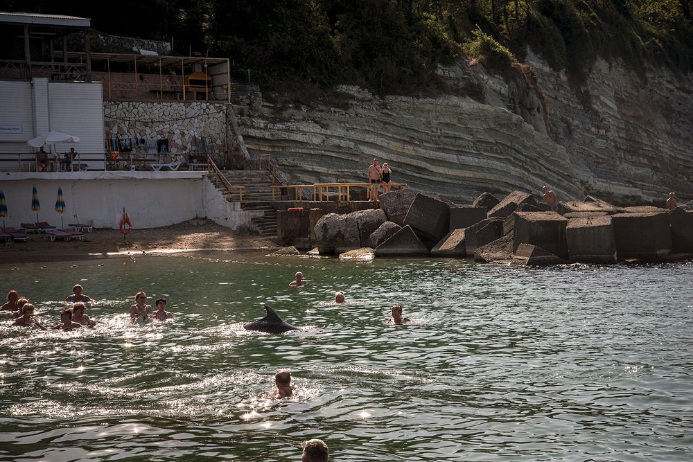 Photograph by Маргарита Матвеенкова