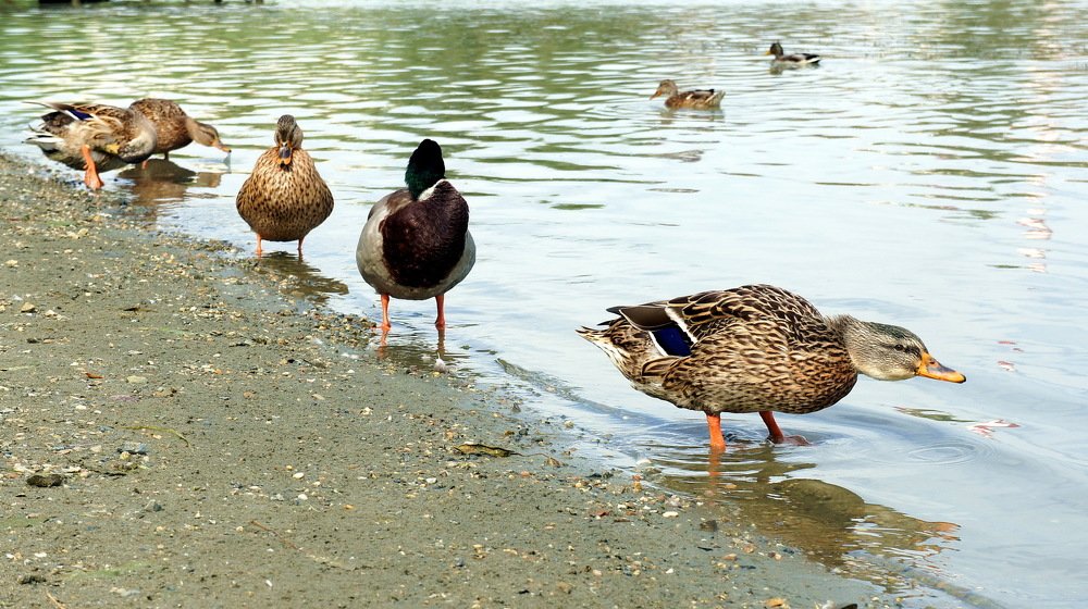 Photograph by Евгений Устинов
