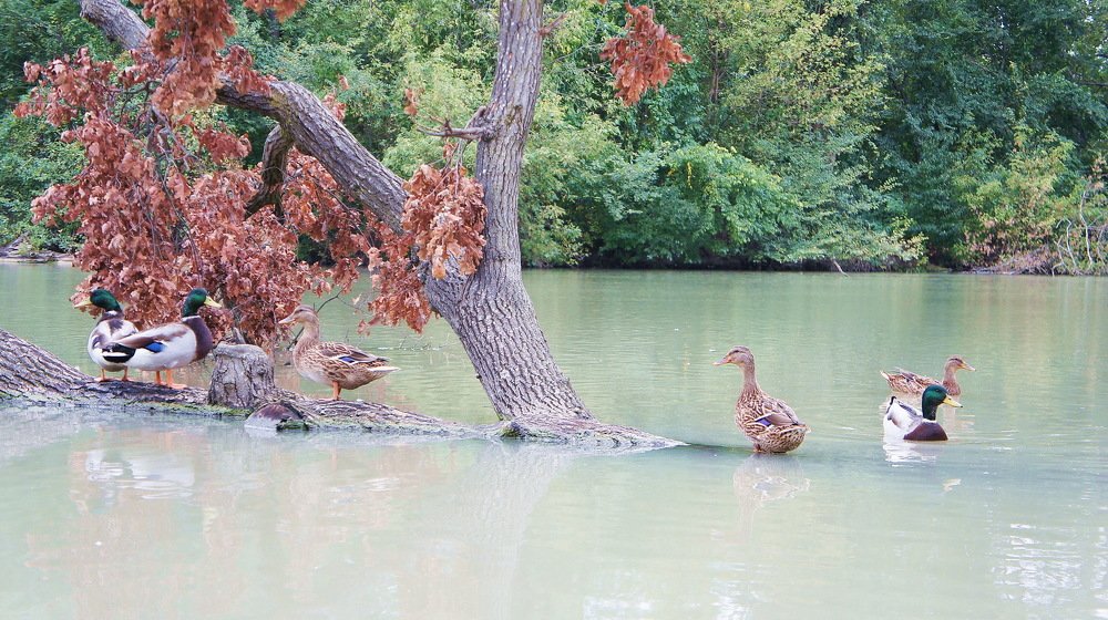 Photograph by Евгений Устинов