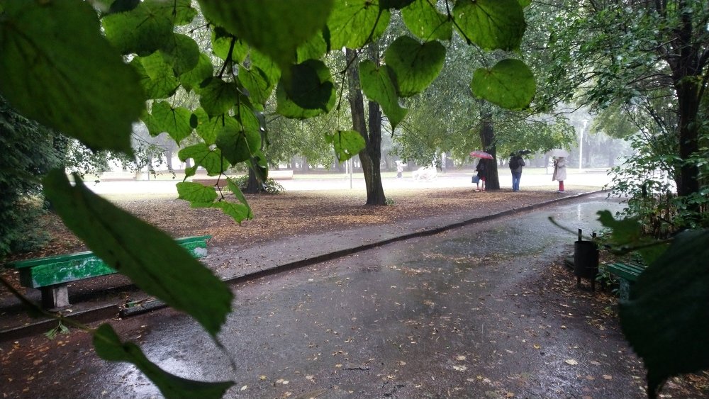 Внезапный дождь