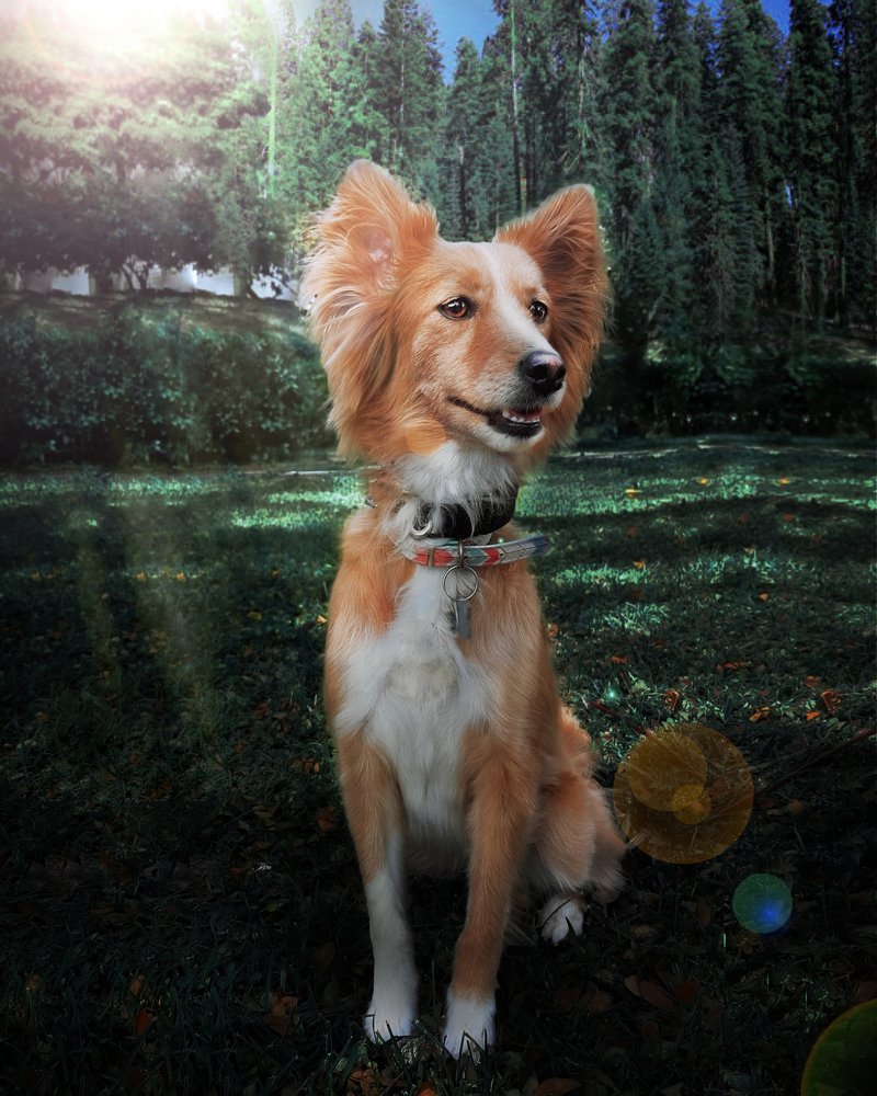 Photograph by Oscar Muñoz