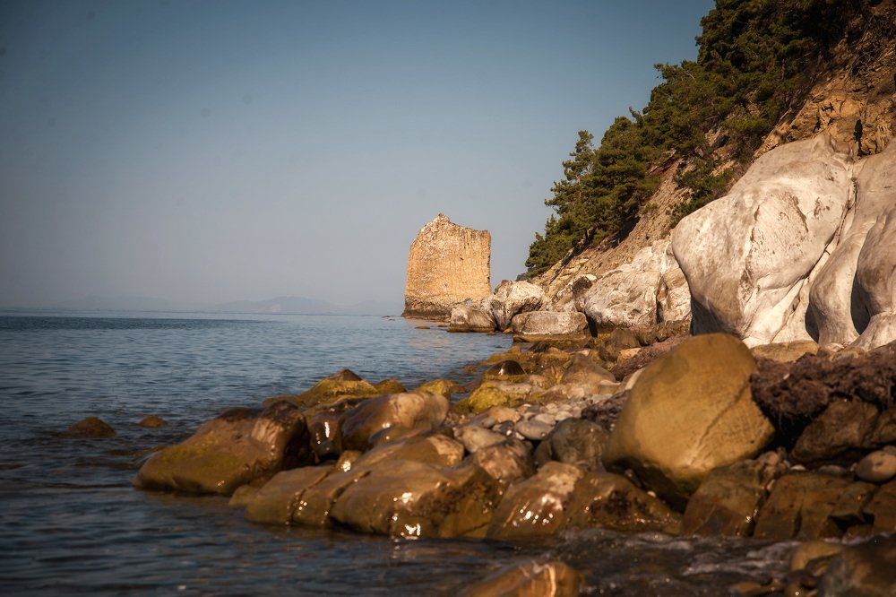 Photograph by 