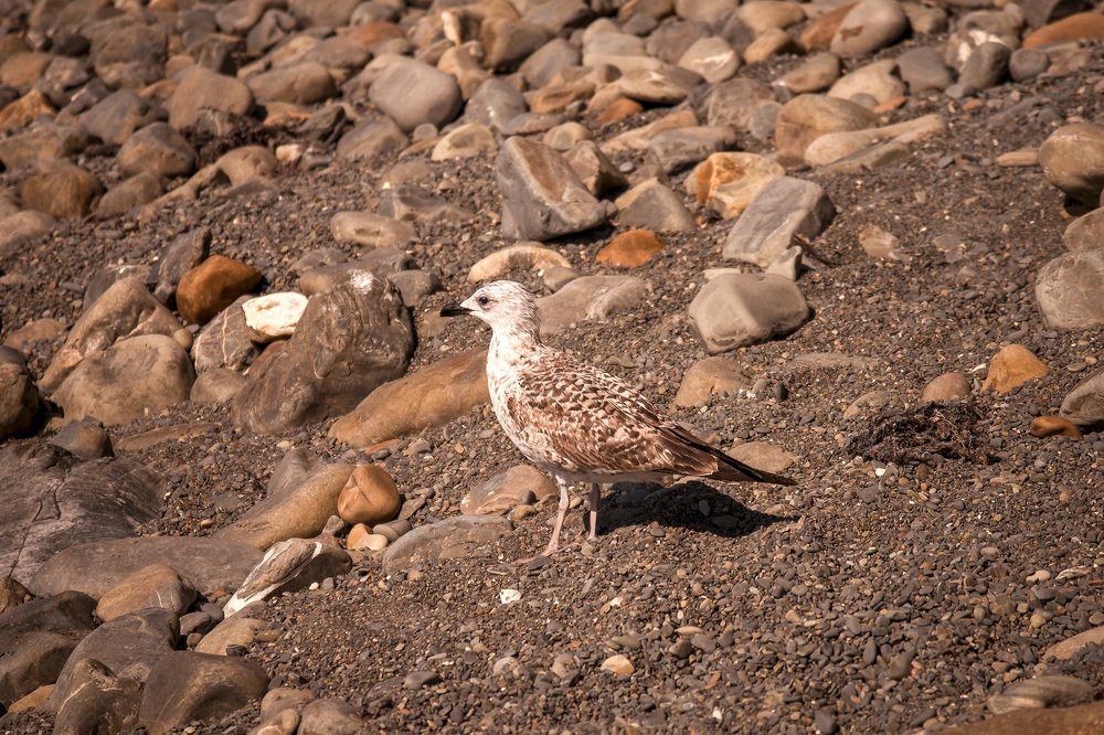 Photograph by Маргарита Матвеенкова