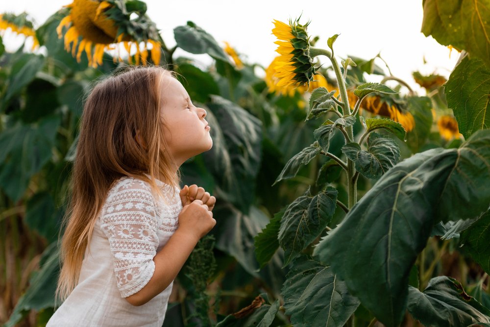 Фотография автора Наталья Тагай