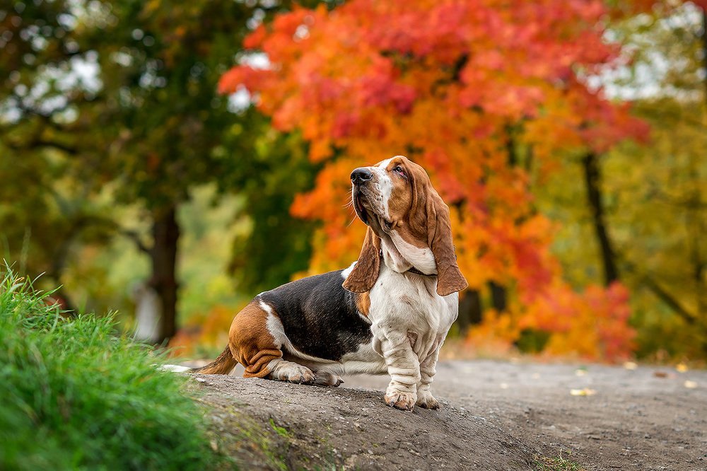 Photograph by Маргарита Матвеенкова