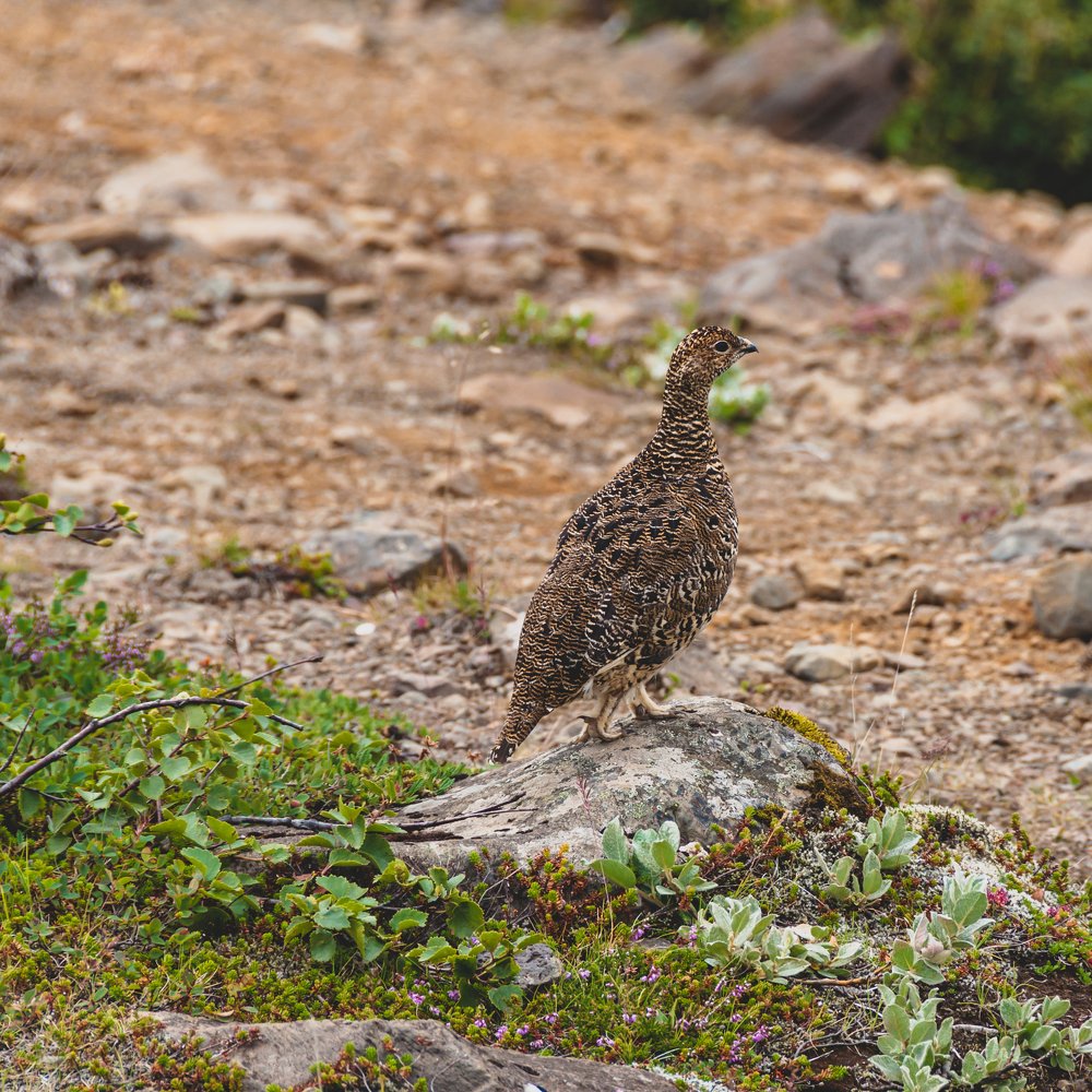 Photograph by Михаил Агульник