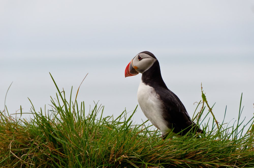 Photograph by Михаил Агульник