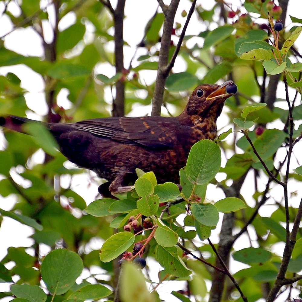 Photograph by Дмитрий Розенбаум
