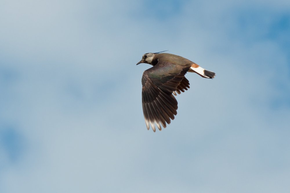 Photograph by Михаил Агульник