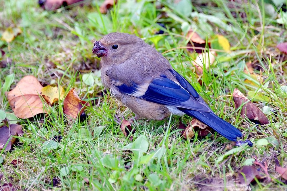 Photograph by Дмитрий Розенбаум