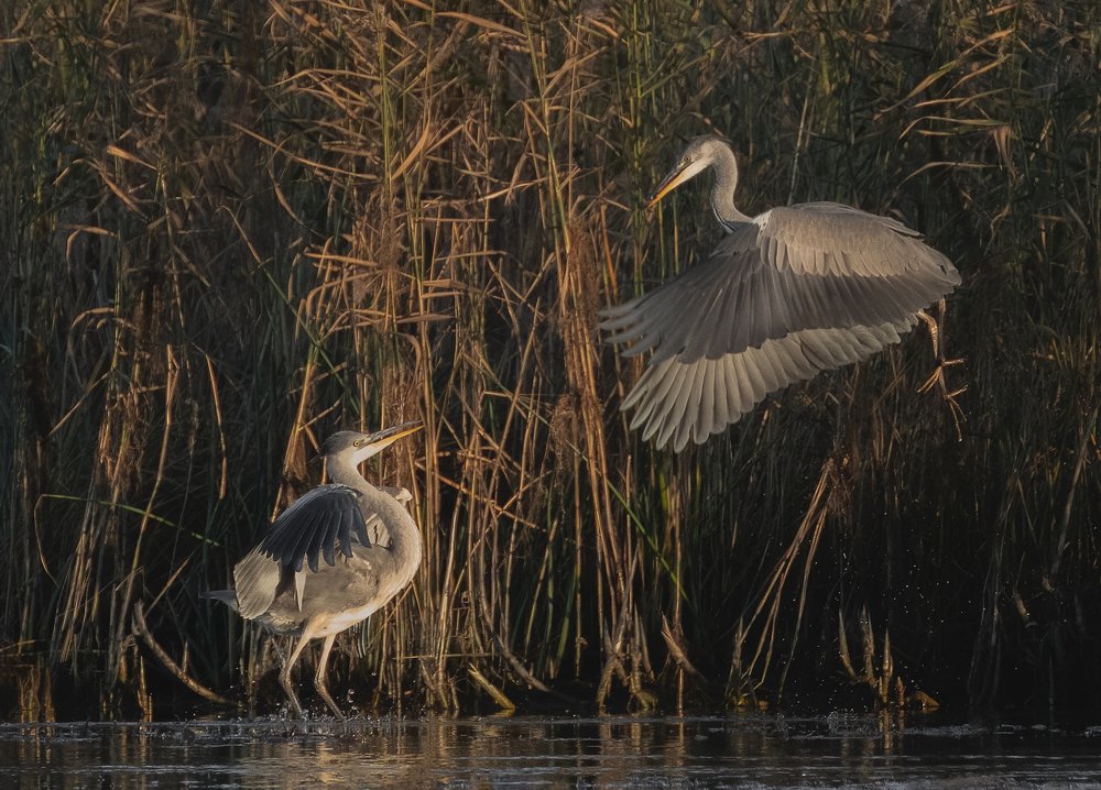 Photograph by Vjacheslav Simanovich
