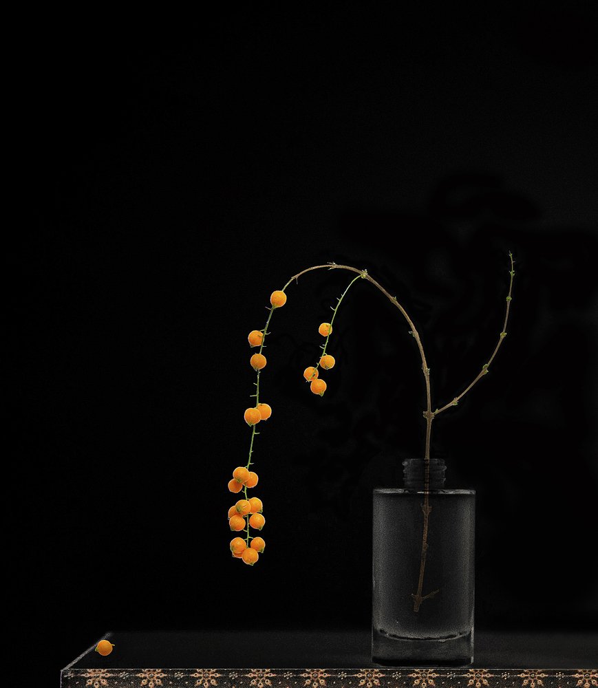 Still Life with Duranta erecta L