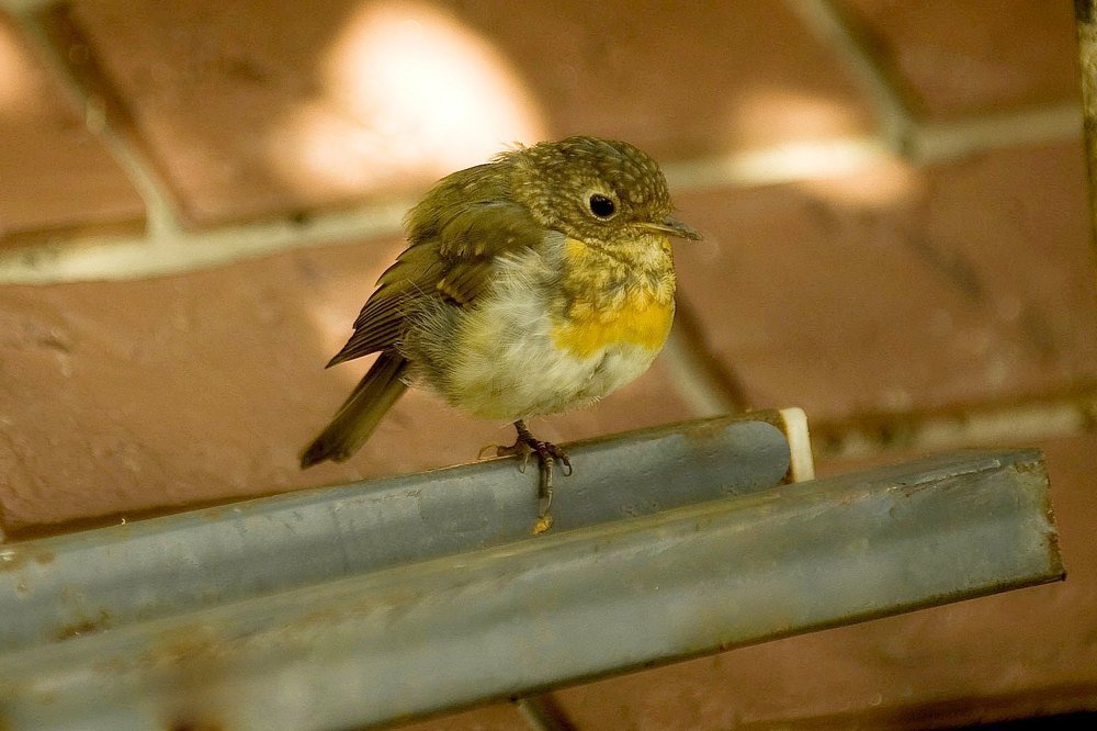 Photograph by Дмитрий Розенбаум