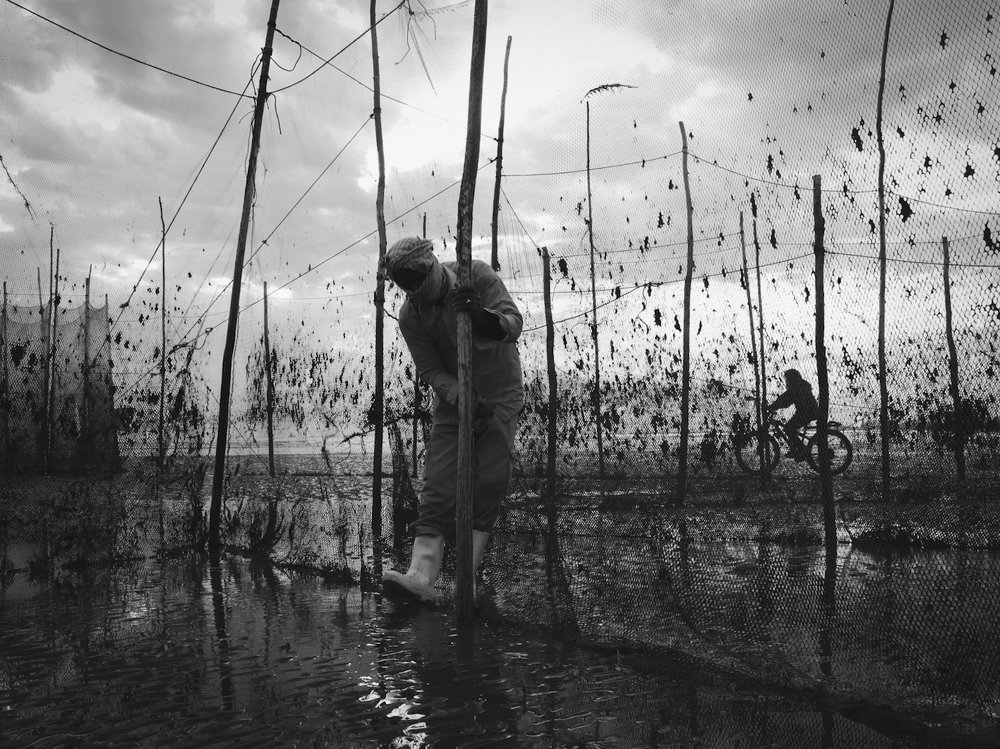 Photograph by Ali