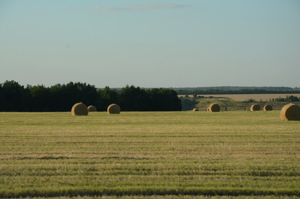 Photograph by Ольга Истомина