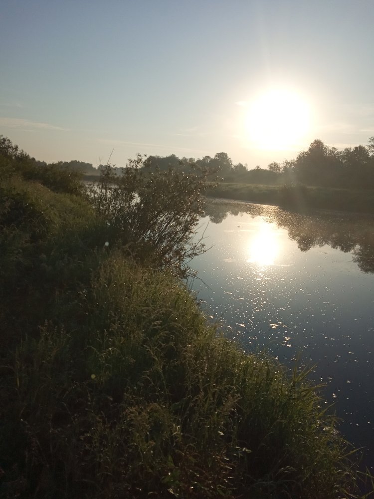 Photograph by Любовь Шаврина