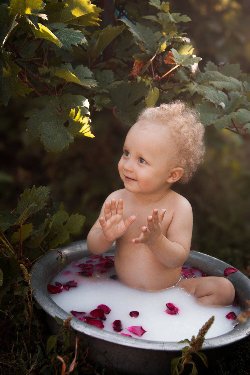 Photo #5025300