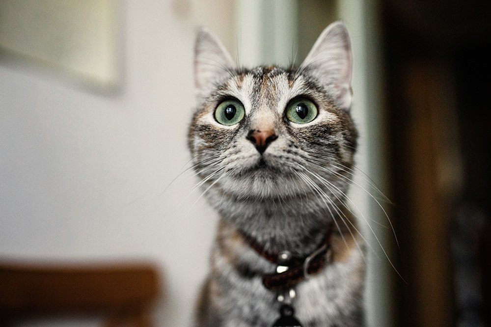 Photograph by Мария Рослякова