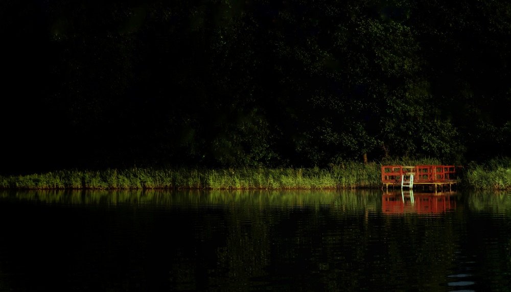 Photograph by Полина