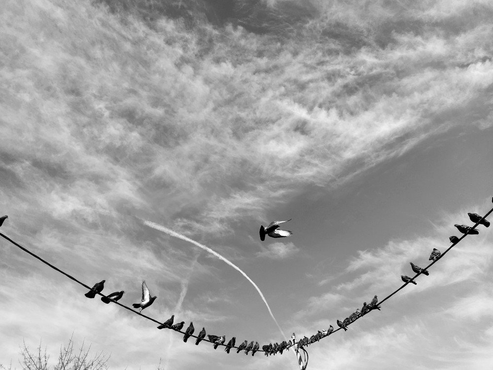 Photograph by Karina Yakovleva