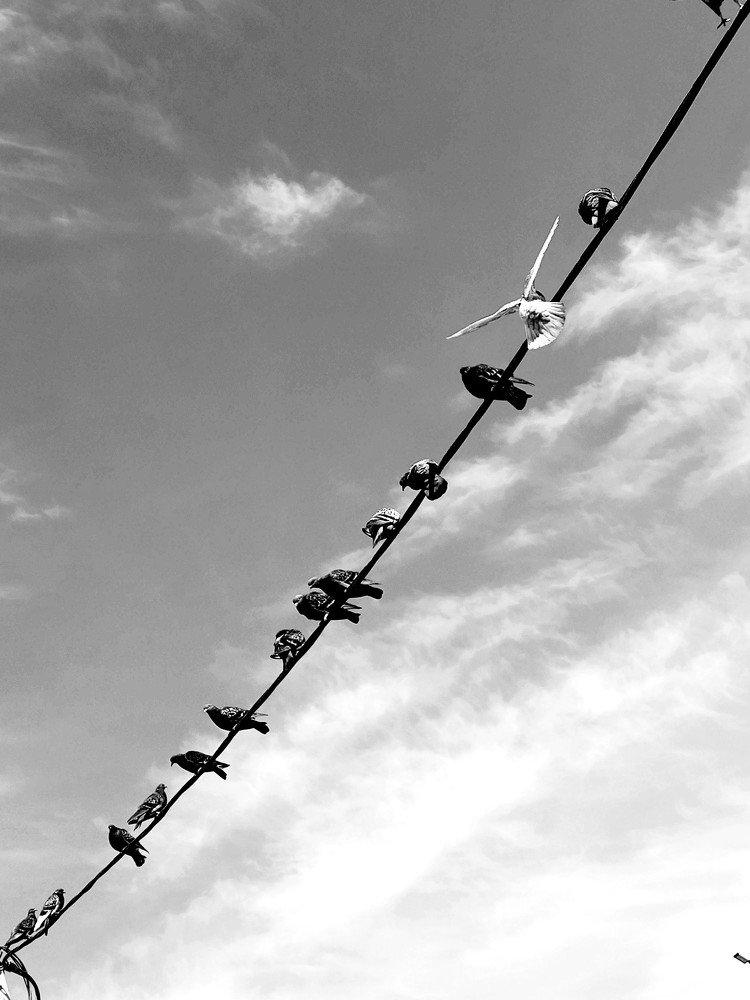 Photograph by Karina Yakovleva