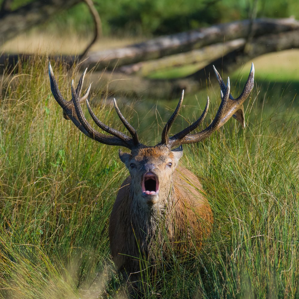 Фотография автора Anandhu M