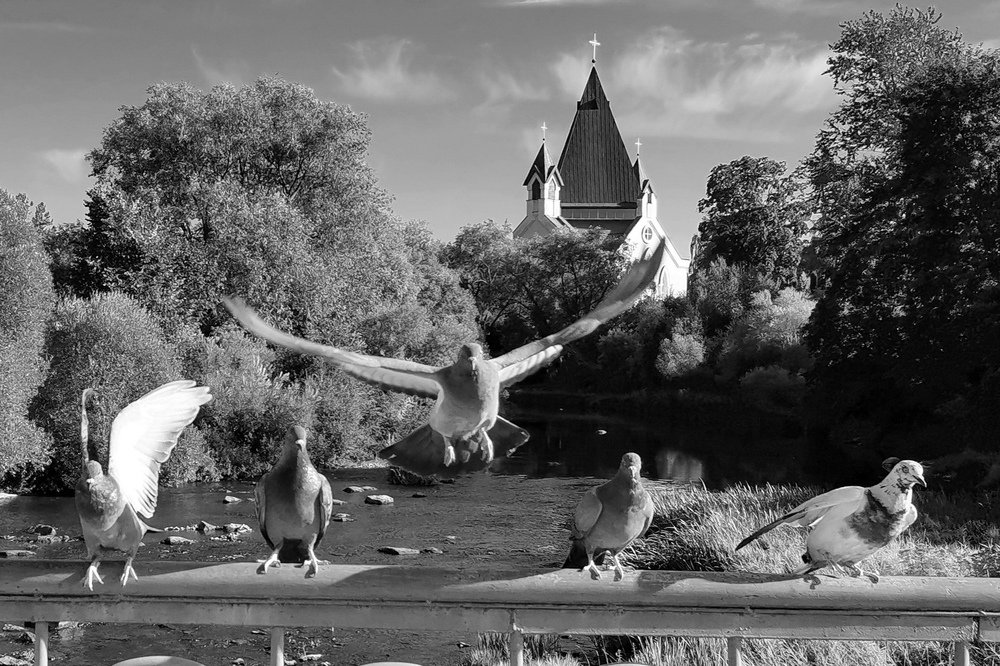 Photograph by Полина Земляникина