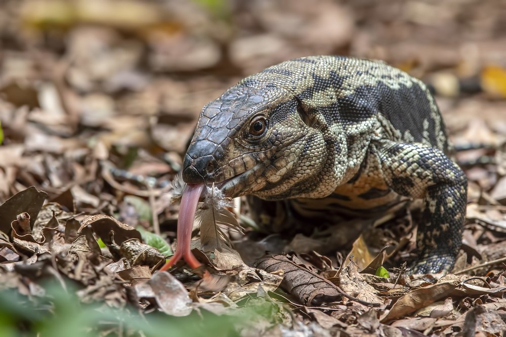 Photograph by Esteban Argerich