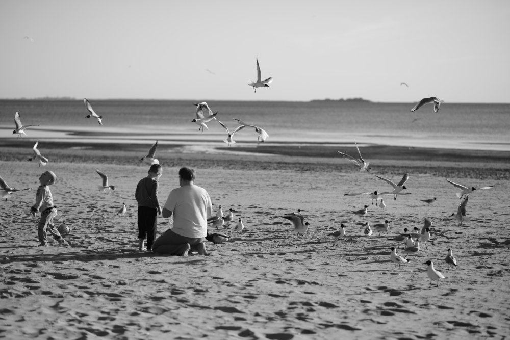 Photograph by Олеся Газиева