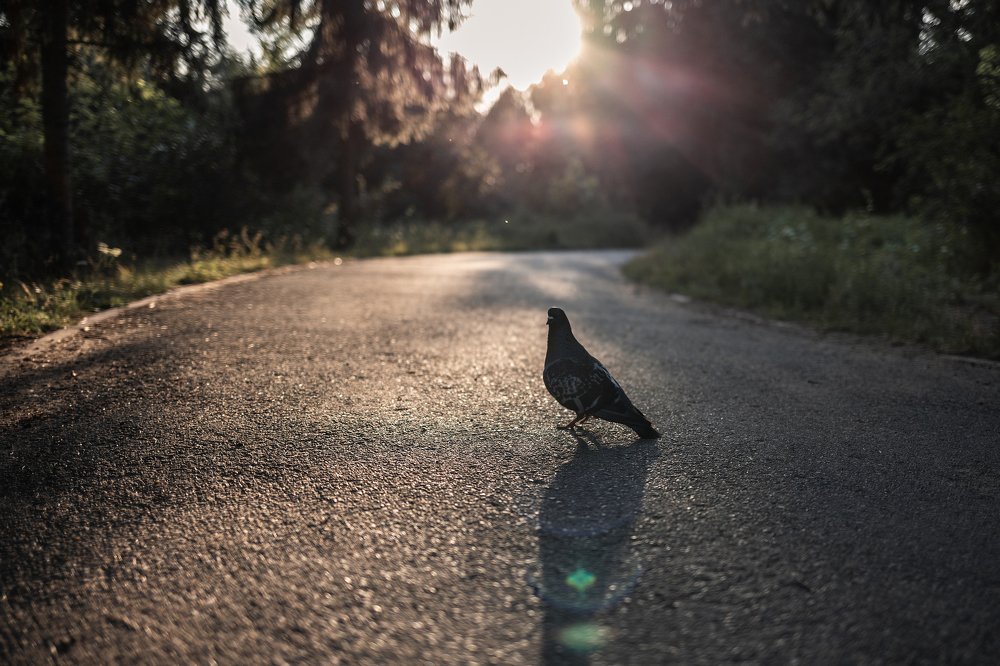 Photograph by Андрей Бодров