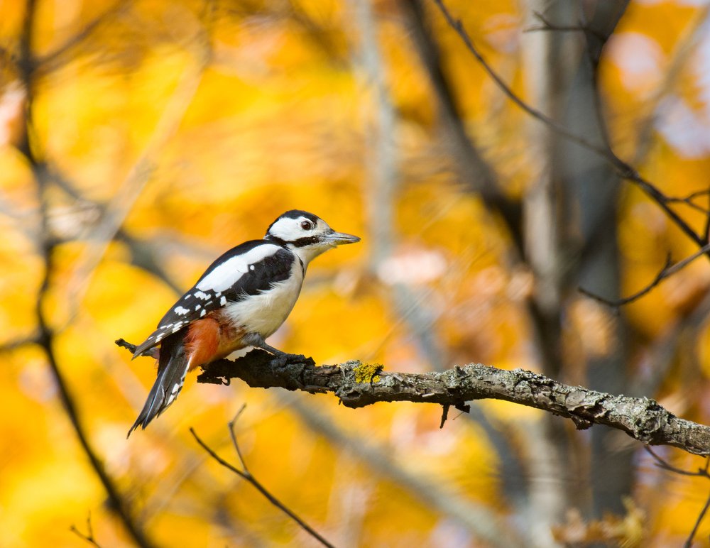 Photograph by Константин Данилов