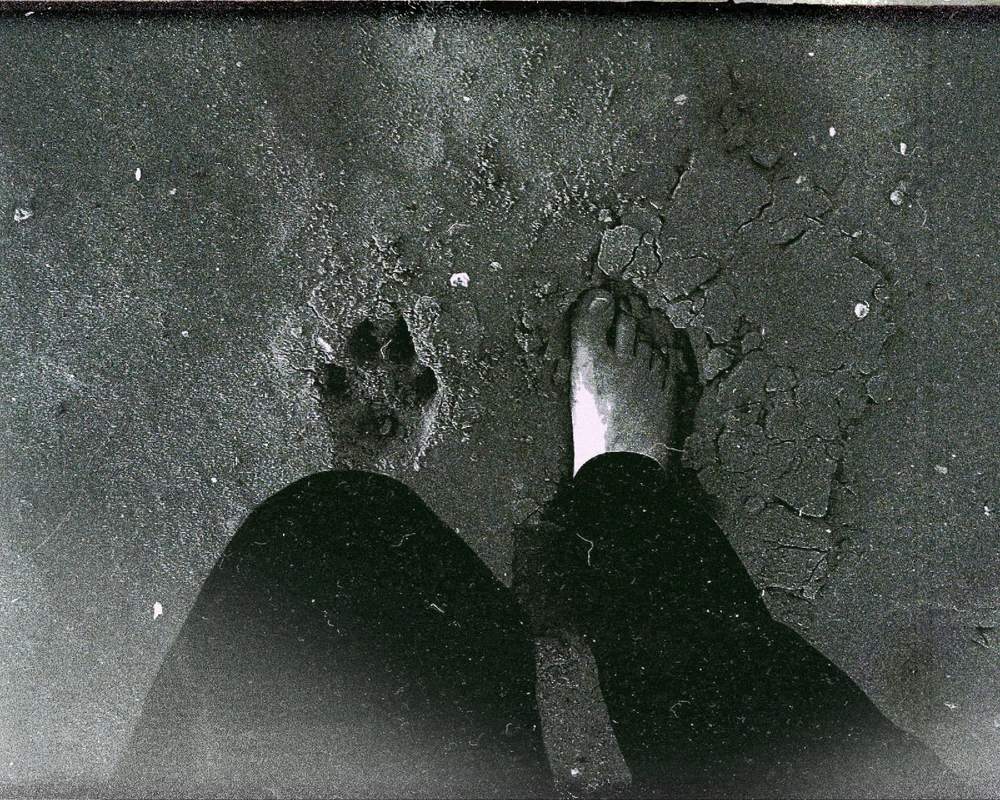 Photograph by Семён Старов