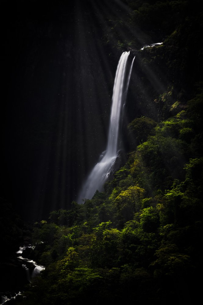 Silver lining through the woods