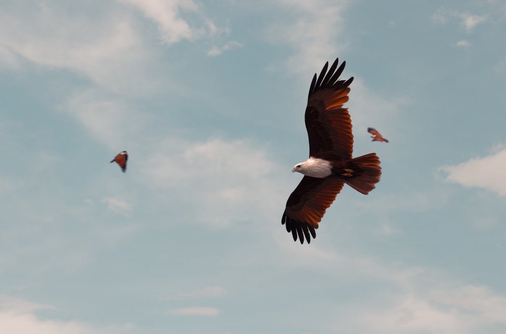 Photograph by Dipesh Motivaras