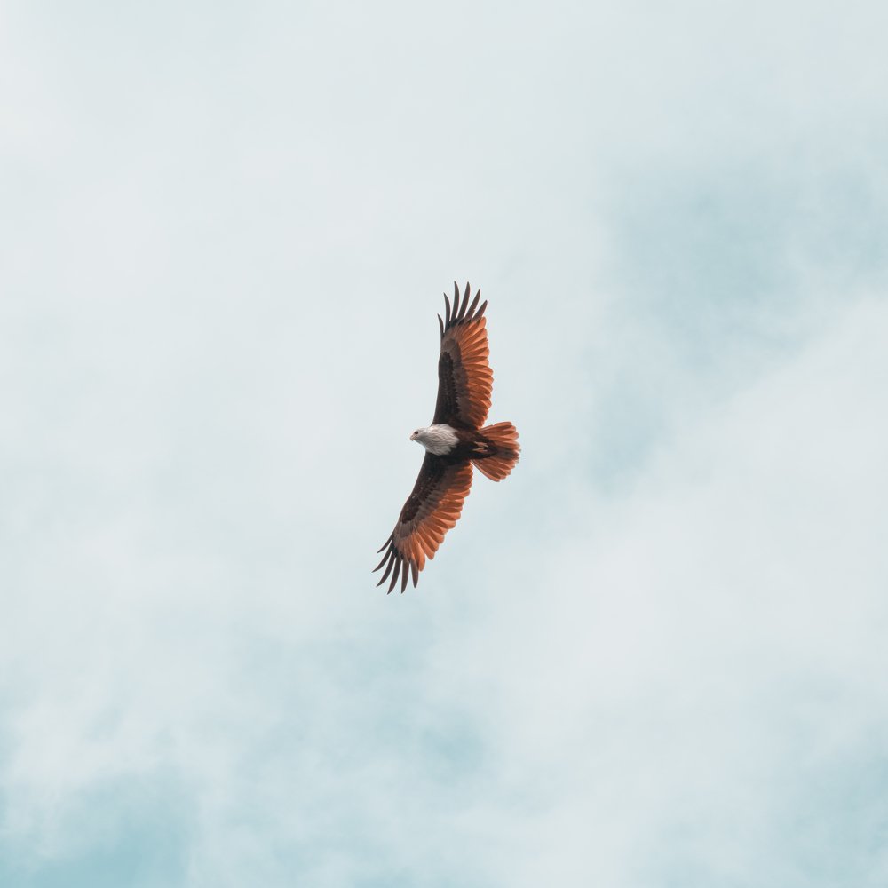 Photograph by Dipesh Motivaras