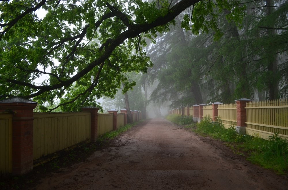 Photograph by Анна Гекк