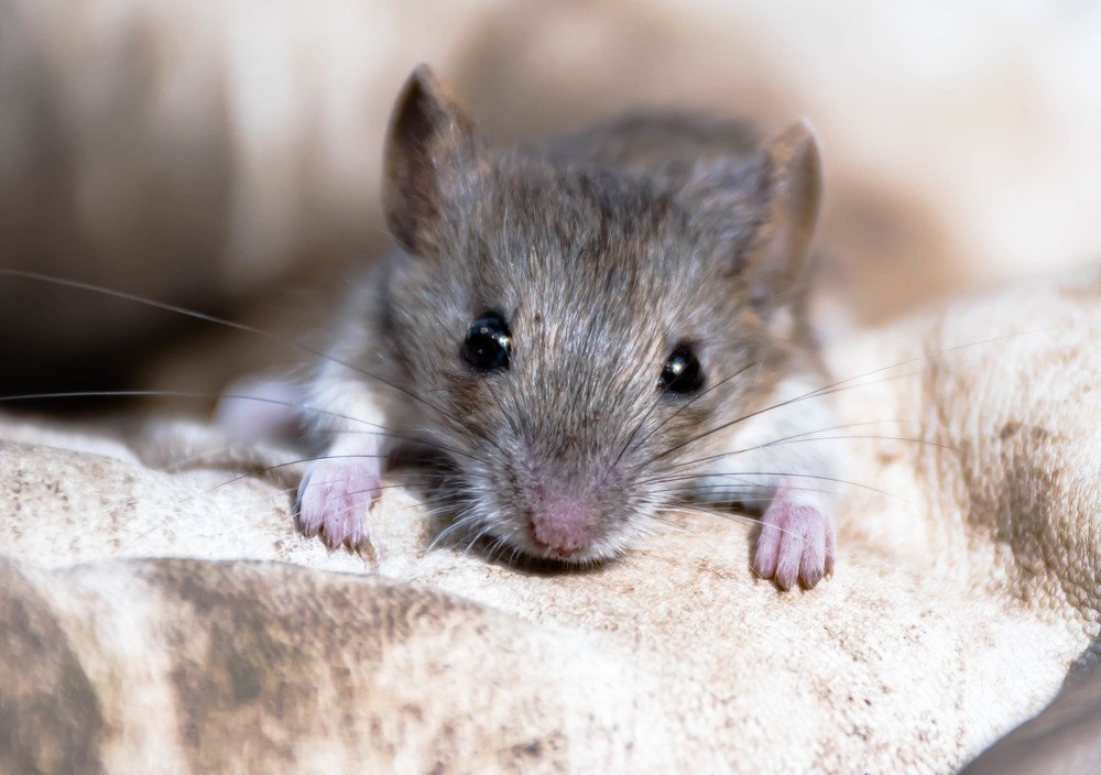 Photograph by Елена Прохорова